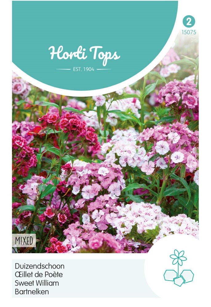 Hortitops Duizendschoon laag - Bloemzaden Hortitops Duizendschoon laag - Bloemzaden