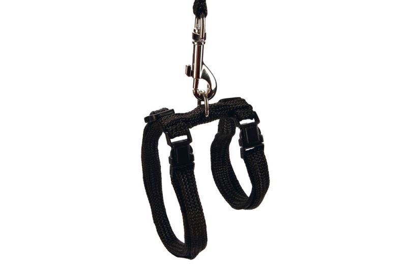 BEEZTEES - Kattentuigje - Zwart - 100 cm