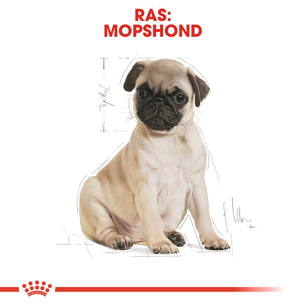 Royal Canin Mopshond Puppy - Hondenvoer - 1.5 Kilogram - gevogelte