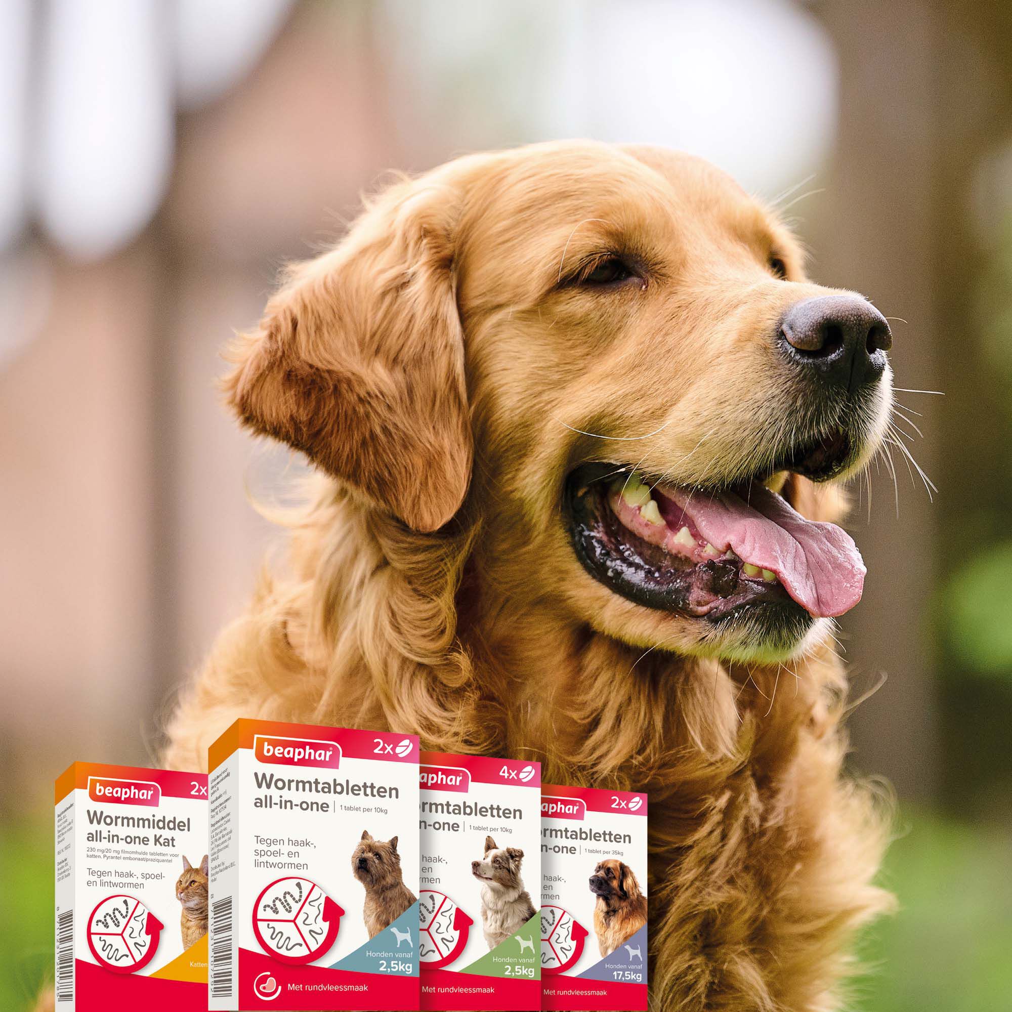 Beaphar All-in-one Tabletten - Ontwormen Hond - 4 Stuks - M