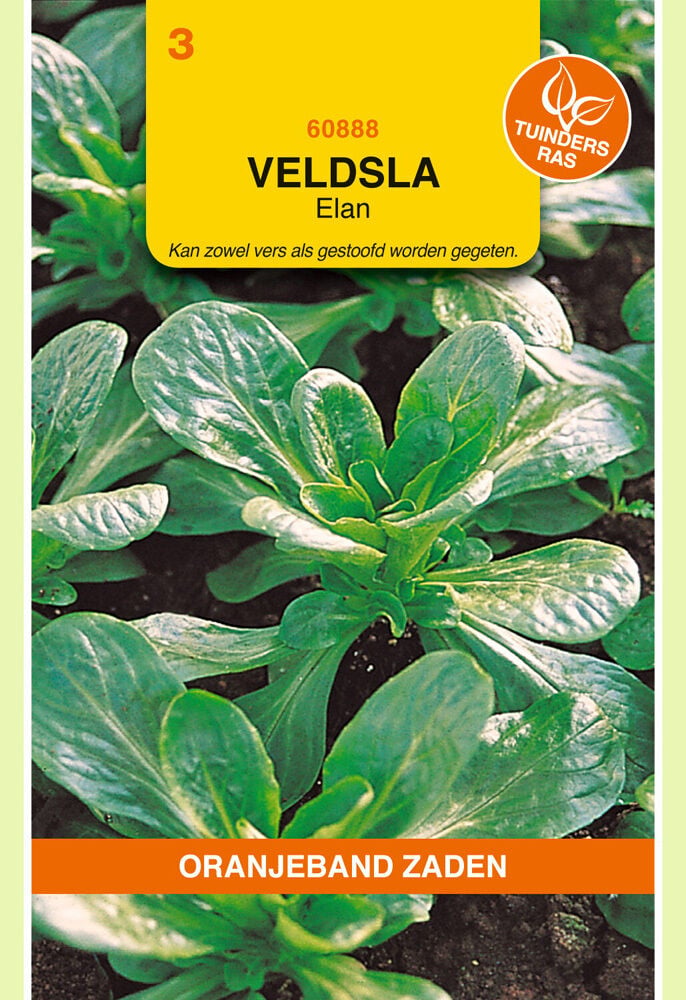 Oranjeband zaden Veldsla Elan - Groentezaden Oranjeband zaden Veldsla Elan - Groentezaden