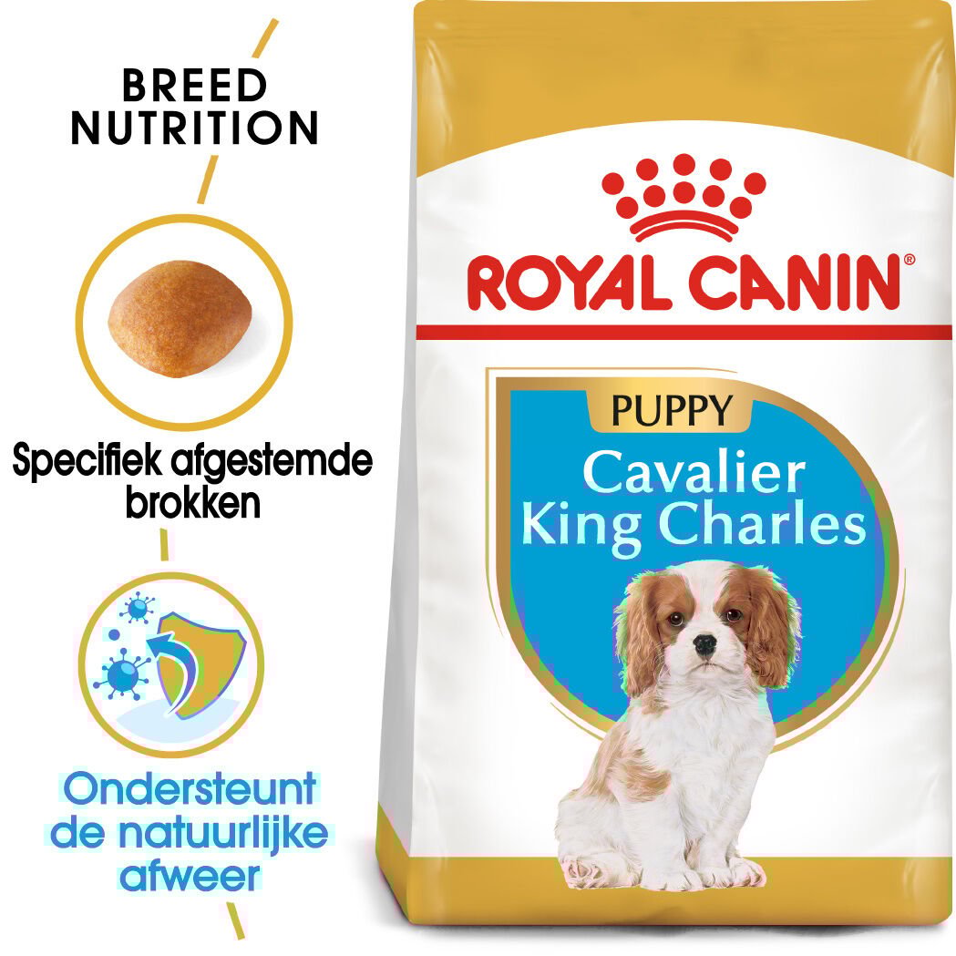 Royal Canin Cavalier King Charles Puppy - Hondenvoer