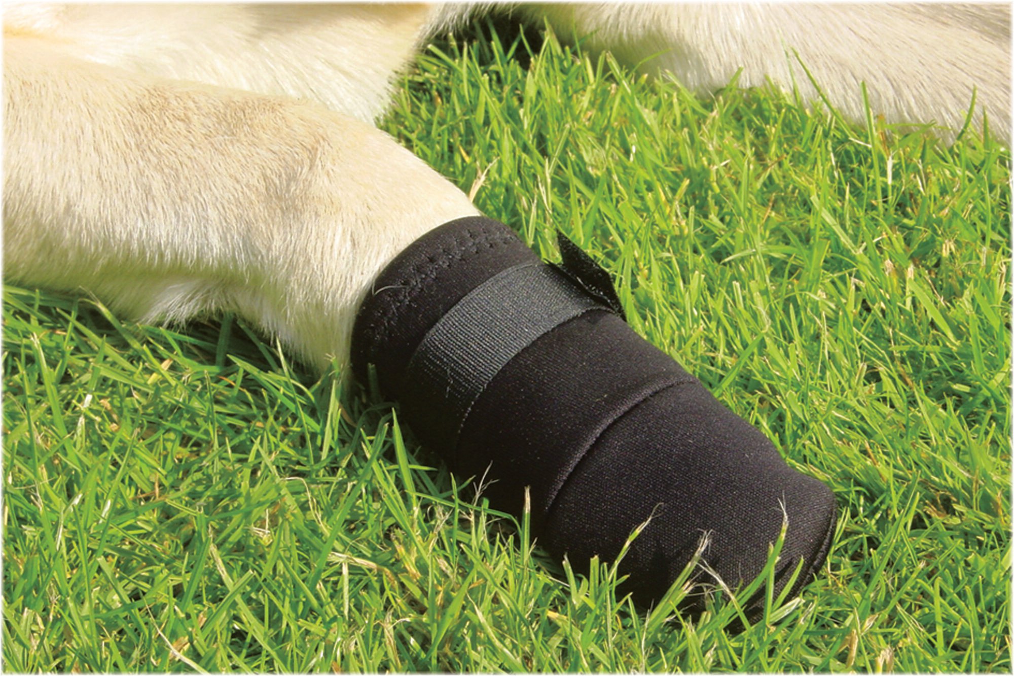 Beeztees - Beschermingsschoen Hond - 2 Stuks - Zwart - S