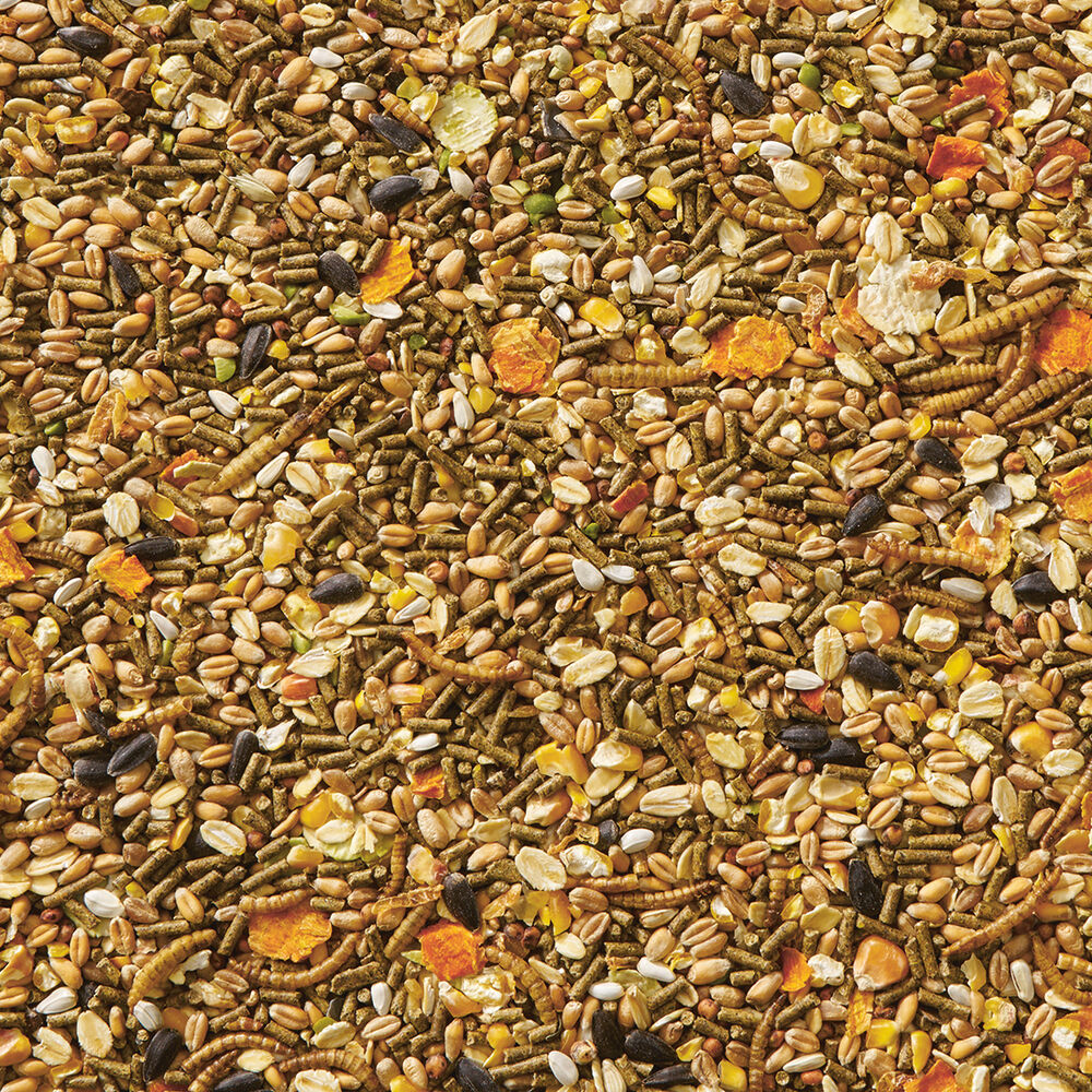 Welkoop Kippenmix met insecten - Kippenvoer - 12.5 Kilogram