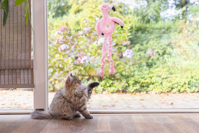 Beeztees Flamingo Cara - Kattenspeeltje - Roze