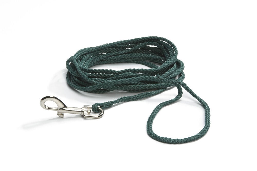 Beeztees Blister - Veldlijn Hond - groen - 1 cm - 500 cm Beeztees Blister - Veldlijn Hond - groen - 1 cm - 500 cm