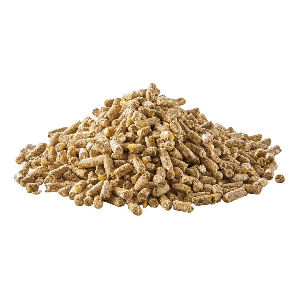 Welkoop Kippenkorrel - Kippenvoer - 20 Kilogram