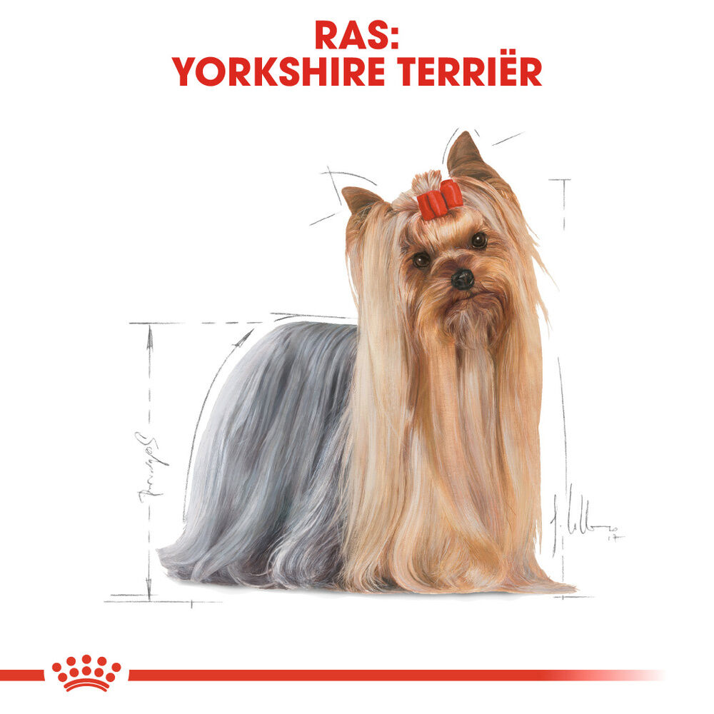 Royal Canin Yorkshire Terrier Adult Pouch - Hondenvoer - 12x85 gram - 1020 Gram - gevogelte
