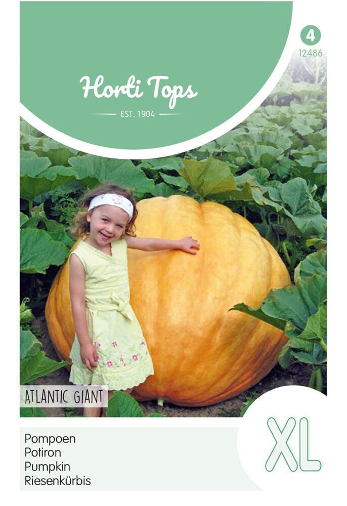 Hortitops Pompoenen Cucurbita maxima Atlantic Giant - Groentezaden