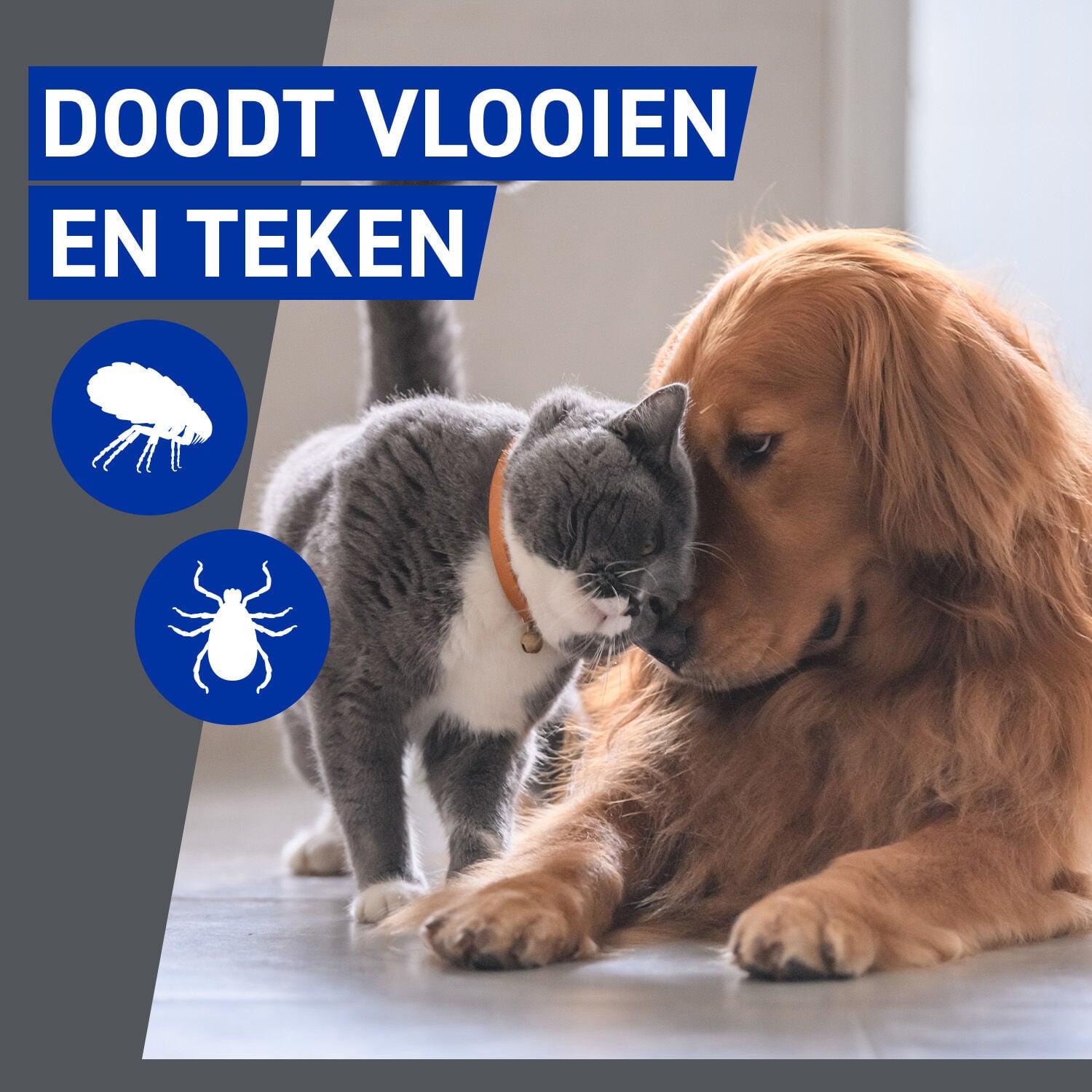 Frontline Homegard - Anti Vlooien en teken - Omgevingsspray - 500 Milliliter