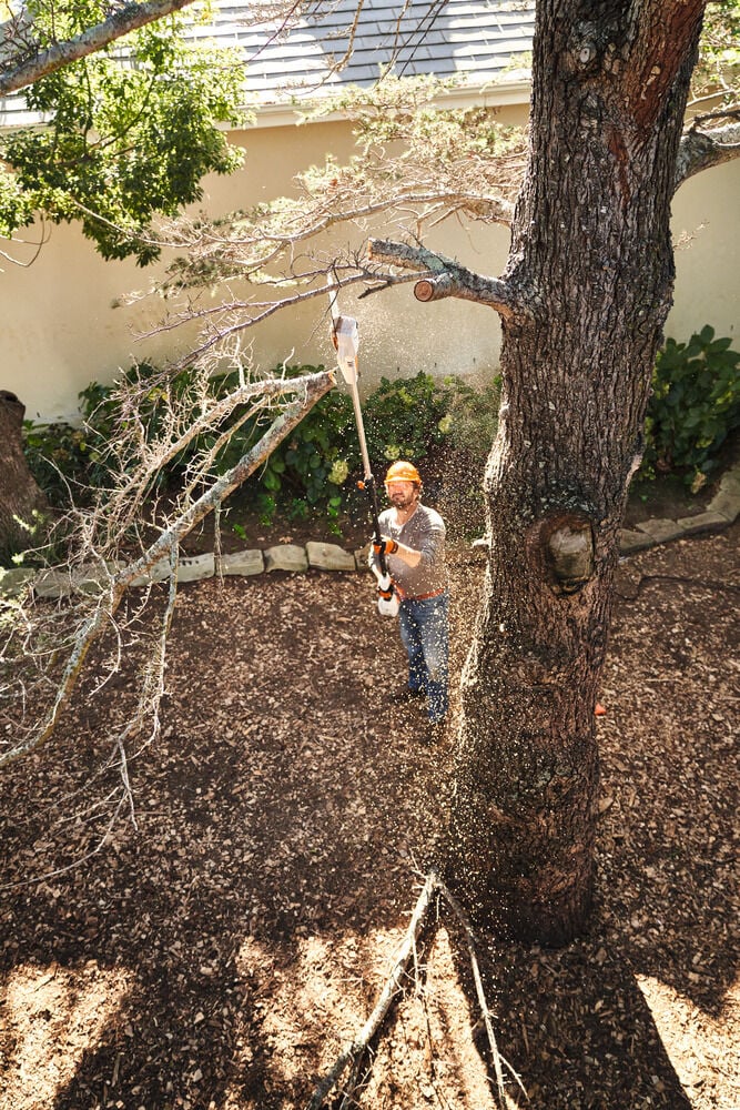 STIHL HTA 50 - Snoeizaag (excl. accu en lader) -