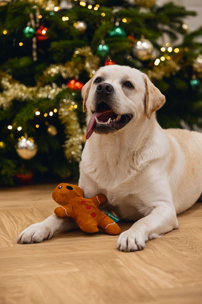 Beeztees Gingerbread - kerstknuffel - 36x19x6 cm