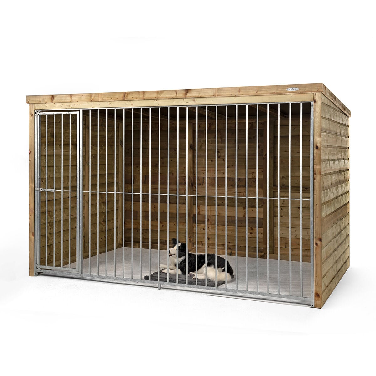 Voldux Beer - Hondenkennel