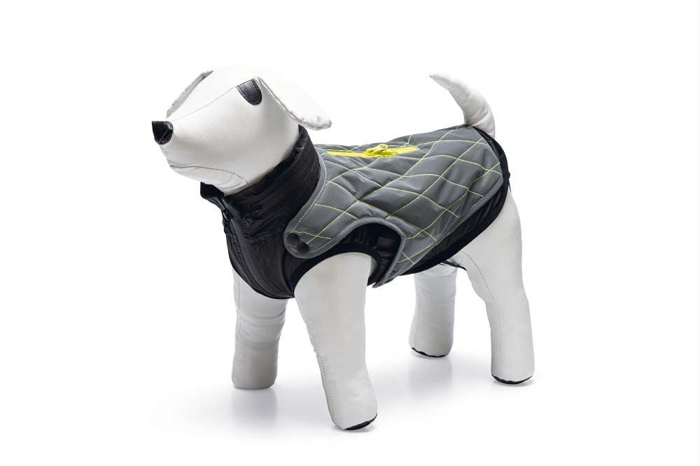 Beeztees Allia - Hondenjas - grijs - L/XL Beeztees Allia - Hondenjas - grijs - L/XL