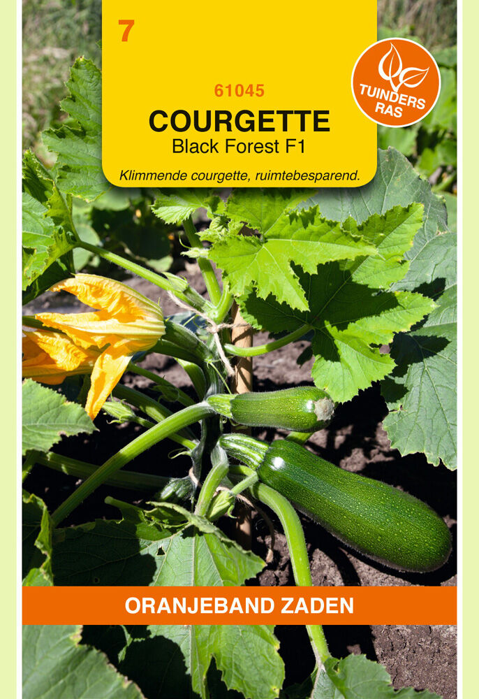 Oranjeband Courgette Black Forest F1 - Groentezaden