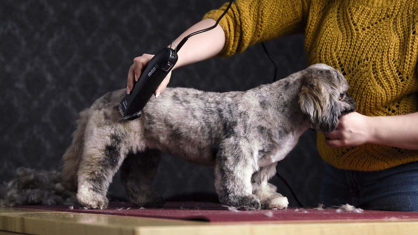 Moser Max 45 - Tondeuse - Zwart