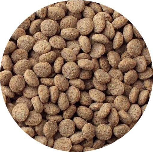 Kasper Faunafood Anseres Floating - Watervogelvoer - 15 Kilogram