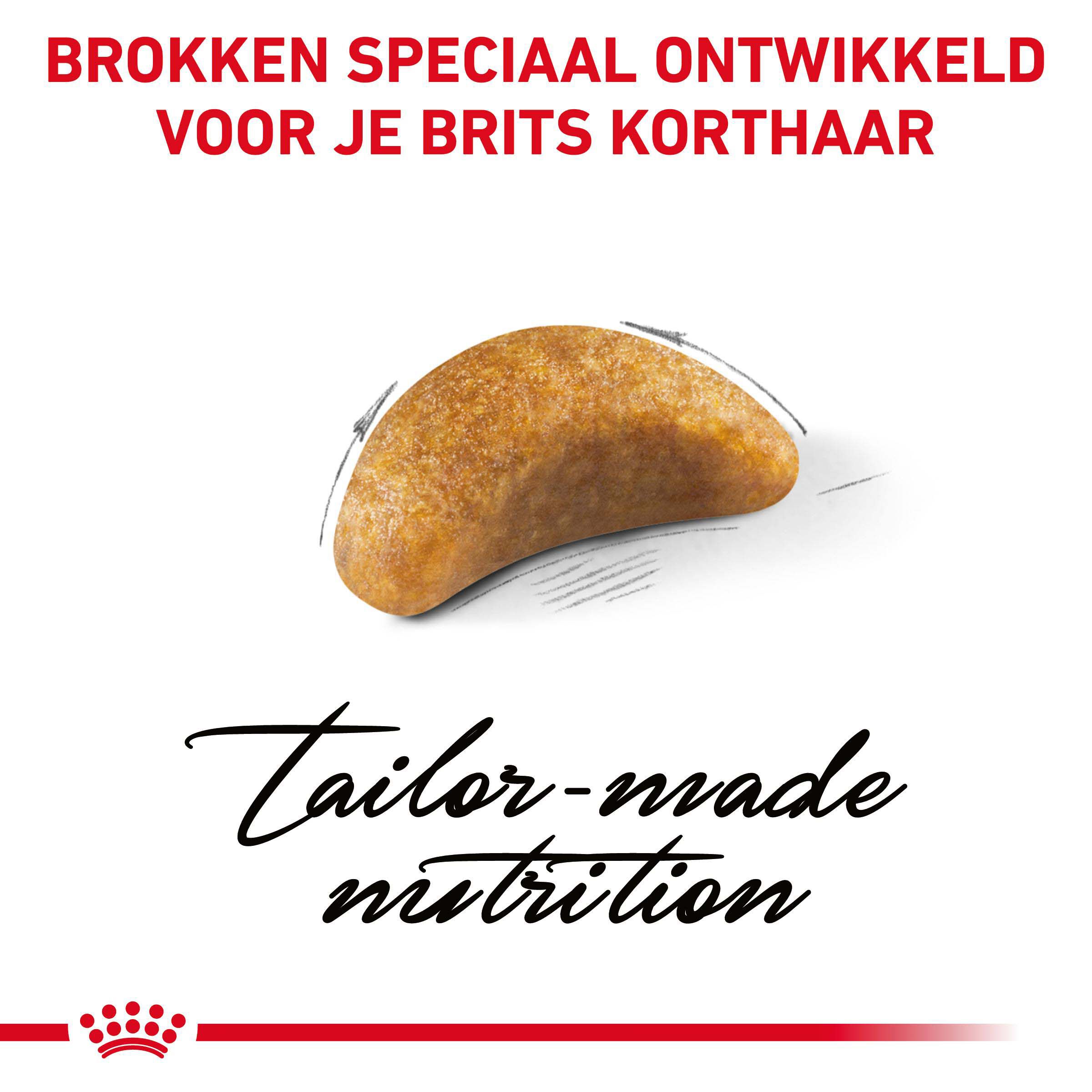 Royal Canin Britse Korthaar Kitten - Kattenvoer - 2 Kilogram - Gevogelte