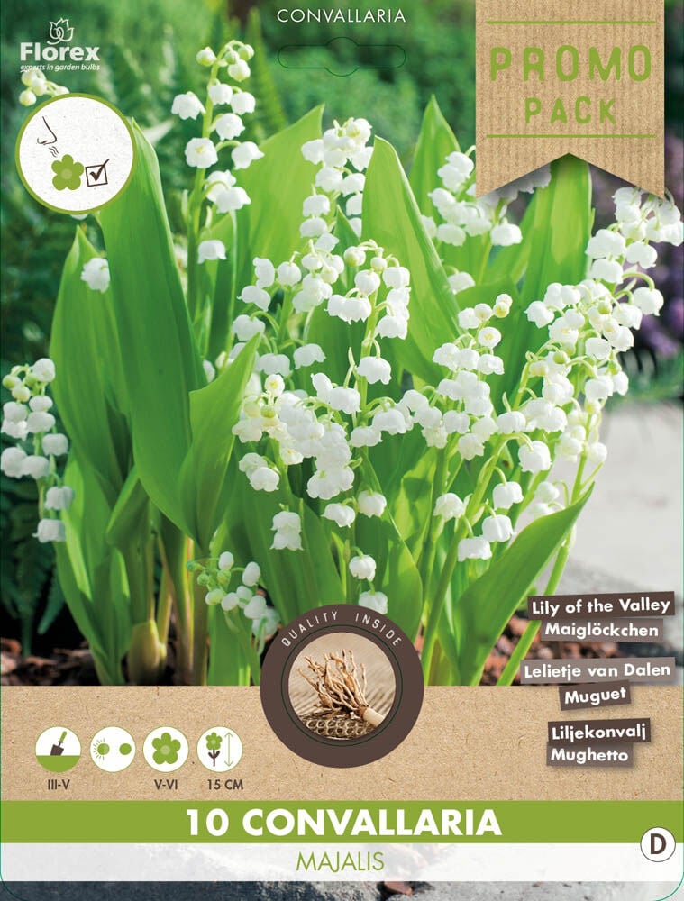 Florex Convallaria Lelietje van Dalen - Bloembollen