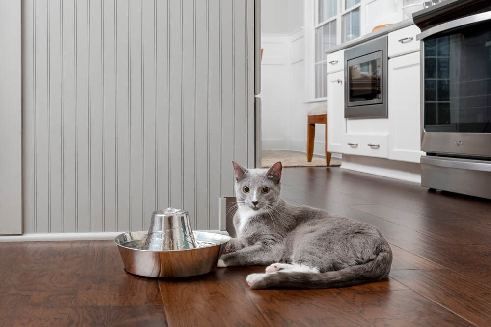 Petsafe Seaside - Drinkfontein RVS - 0.8 l - Zilver - 13.8x28.2x27.5 cm