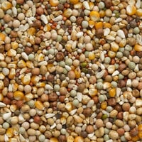 Beyers Premium Super Kweek - Duivenvoer - 20 Kilogram