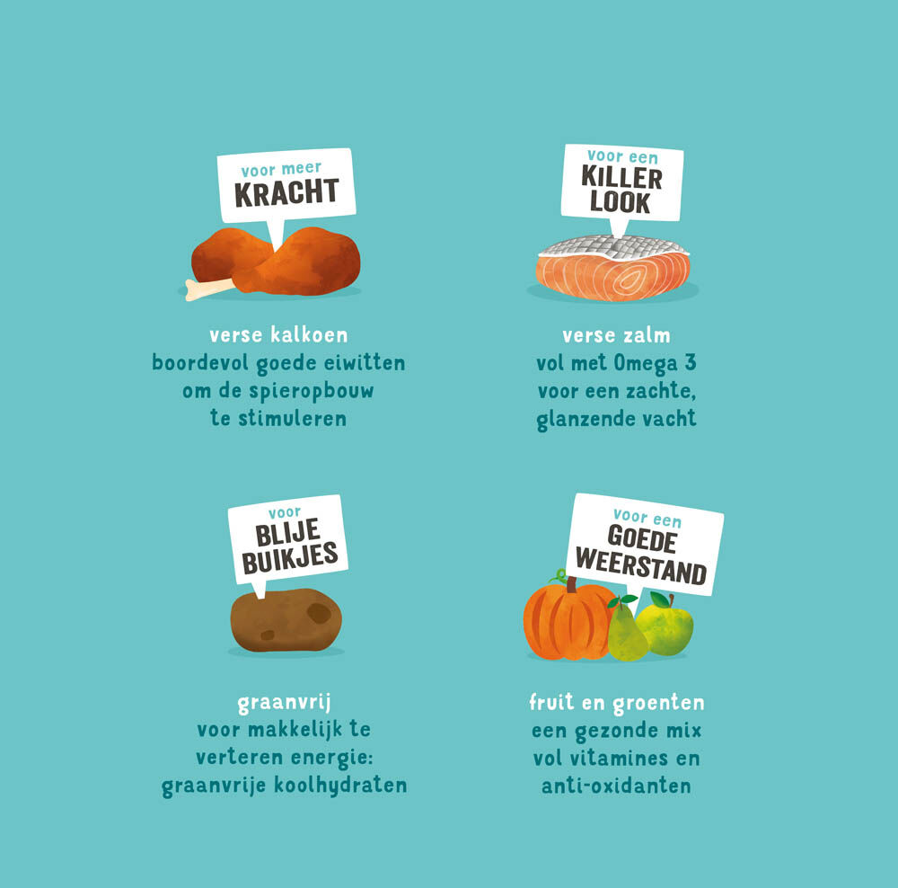 Edgard & Cooper Puppy - Hondenvoer - 0.7 Kilogram - kalkoen, zalm