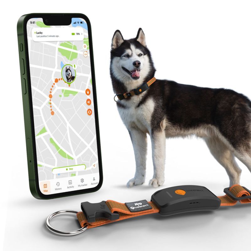 Weenect XT - Halsband met GPS tracker - Oranje