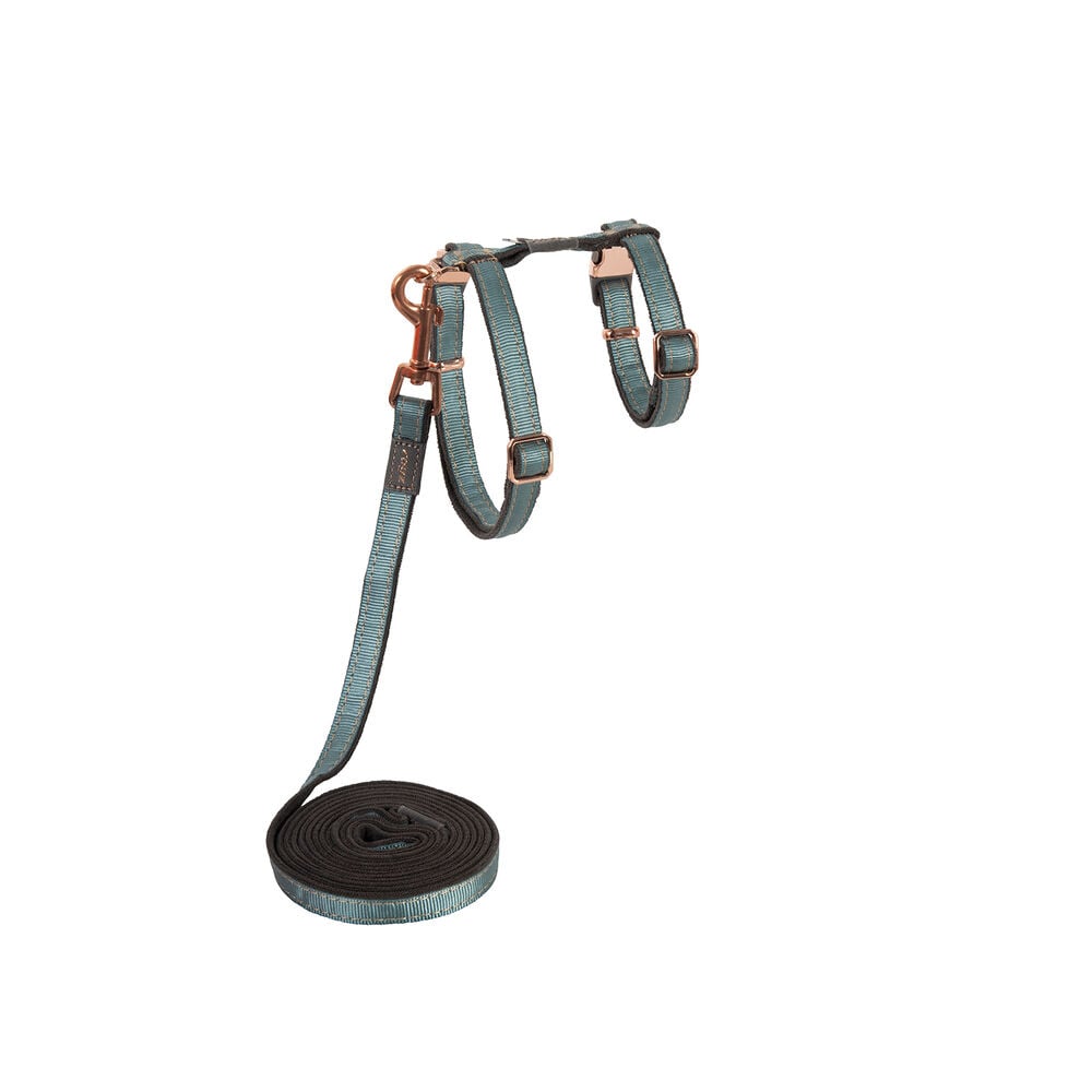 Rogz - Kattentuigje - Blauw - S Rogz - Kattentuigje - Blauw - S