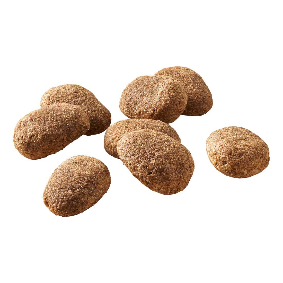 Welkoop Adult Maxi Krokante brokken - Hondenvoer - 15 Kilogram - gevogelte