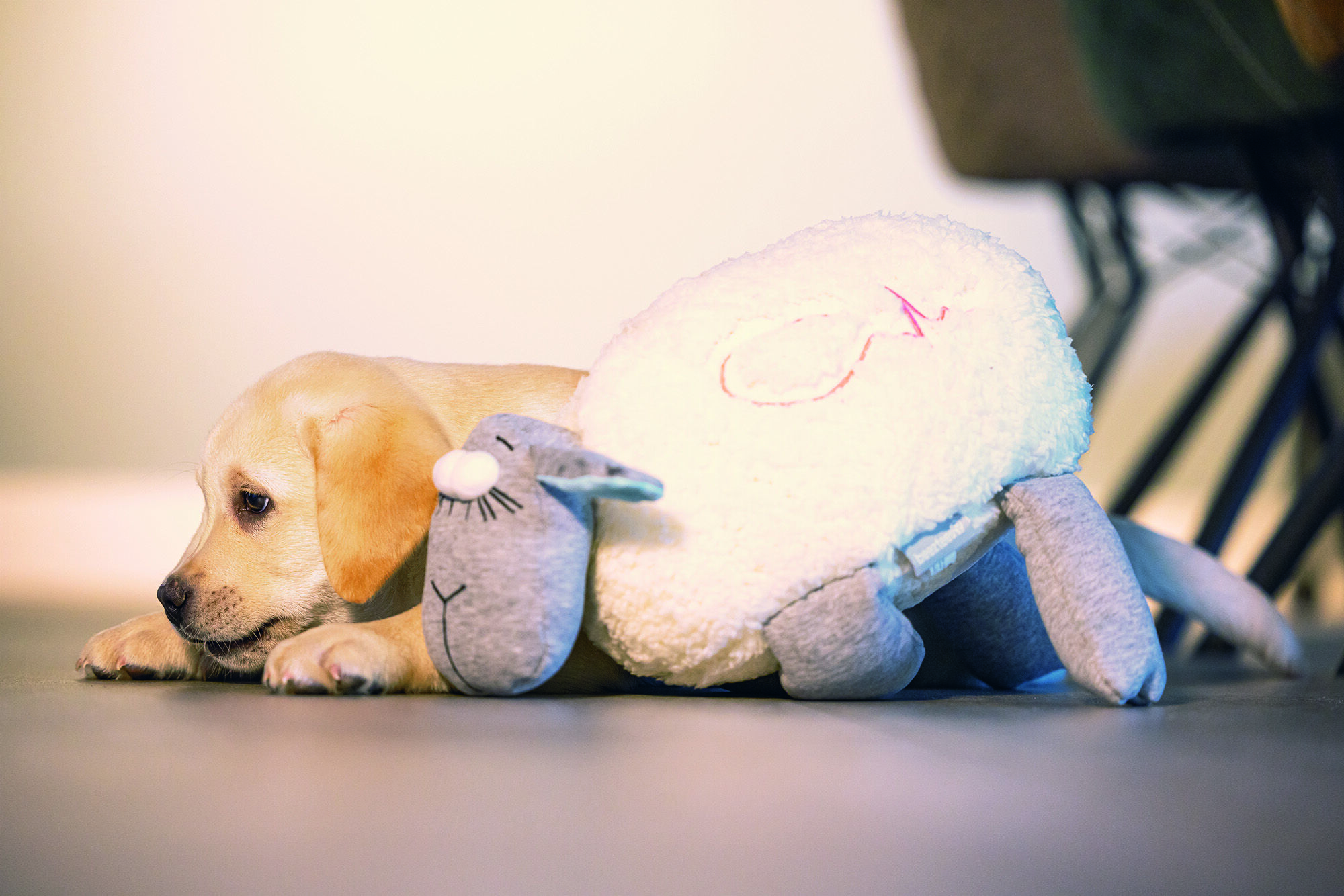 Beeztees Schaap - Knuffel met hartslag - Puppyspeelgoed - Grijs Wit - 14x36x25 cm