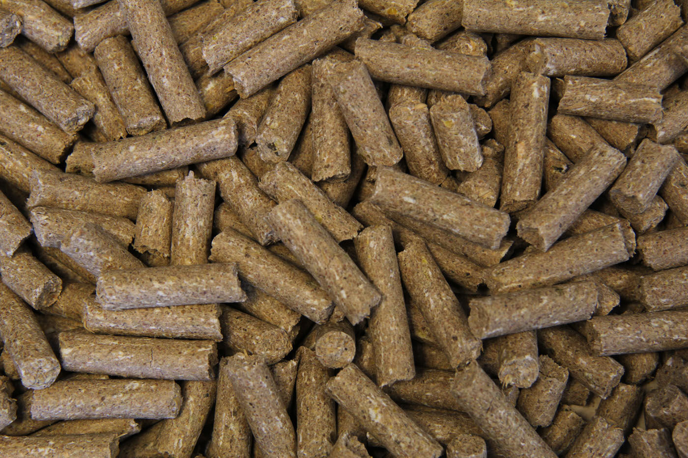 Voermeesters Opfok - Fokkerij - 20 Kilogram - Zak