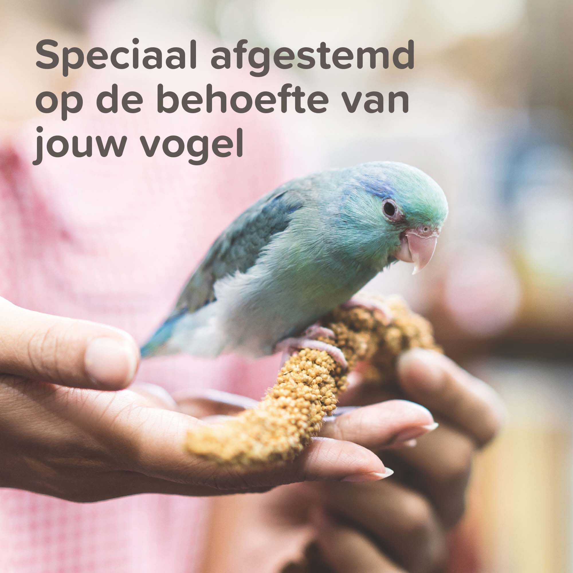 Beaphar Xtra Vital  Kanarie - Vogelvoer - 500 Gram - Volledig voer