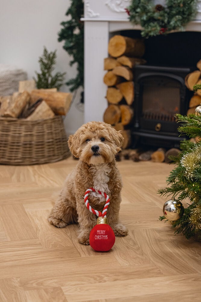 Beeztees Kerstbal Jingle Knuffel - Hondenspeelgoed - Rood