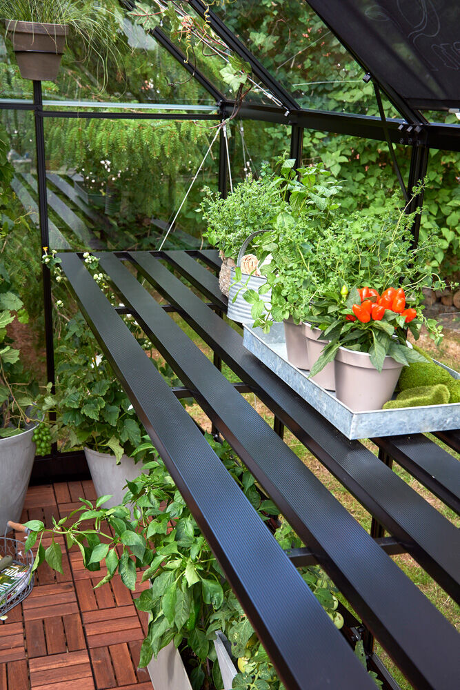 HALLS Qube 816 - Kweektafel