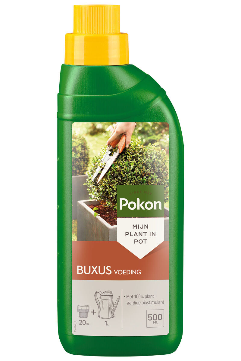 Pokon Buxus voeding - Siertuinmeststof