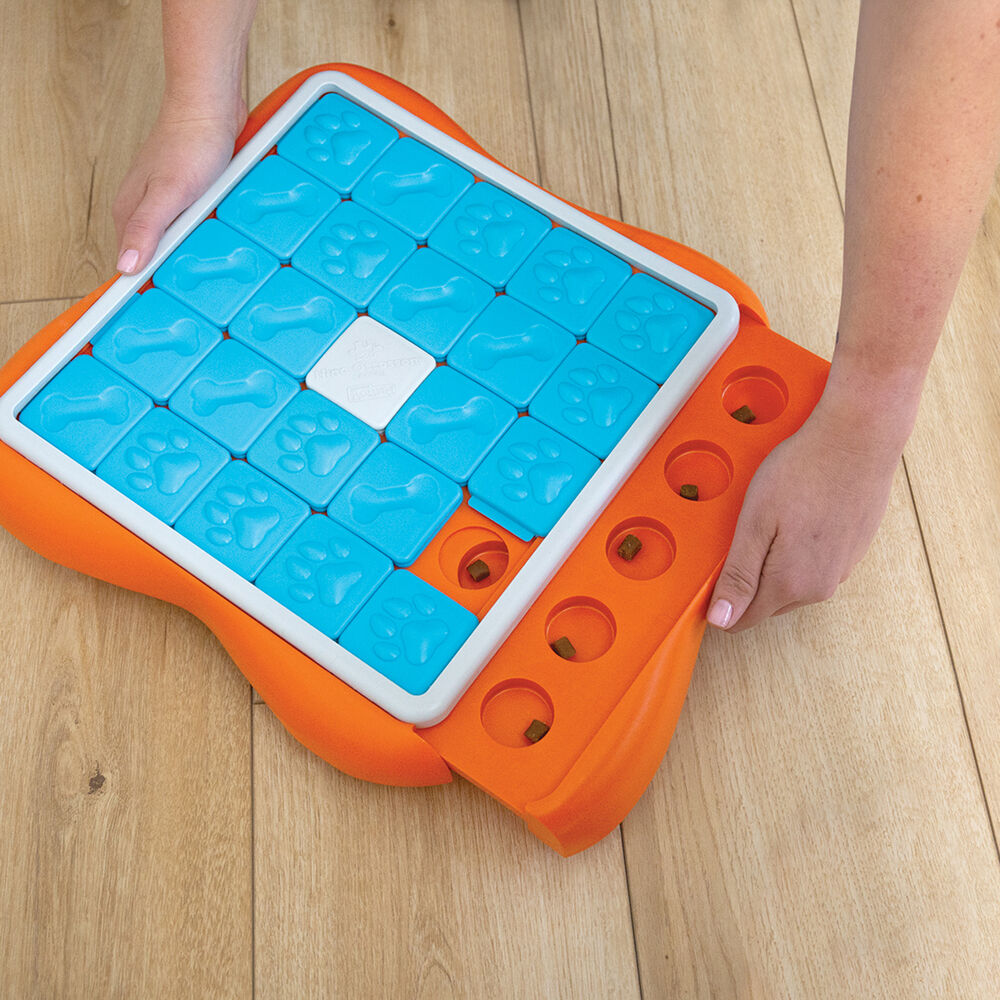 Nina Ottosson Challenge Slider - Puzzel - Hondenspeelgoed - Blauw / Oranje - 5.9x37.9x37.9 cm