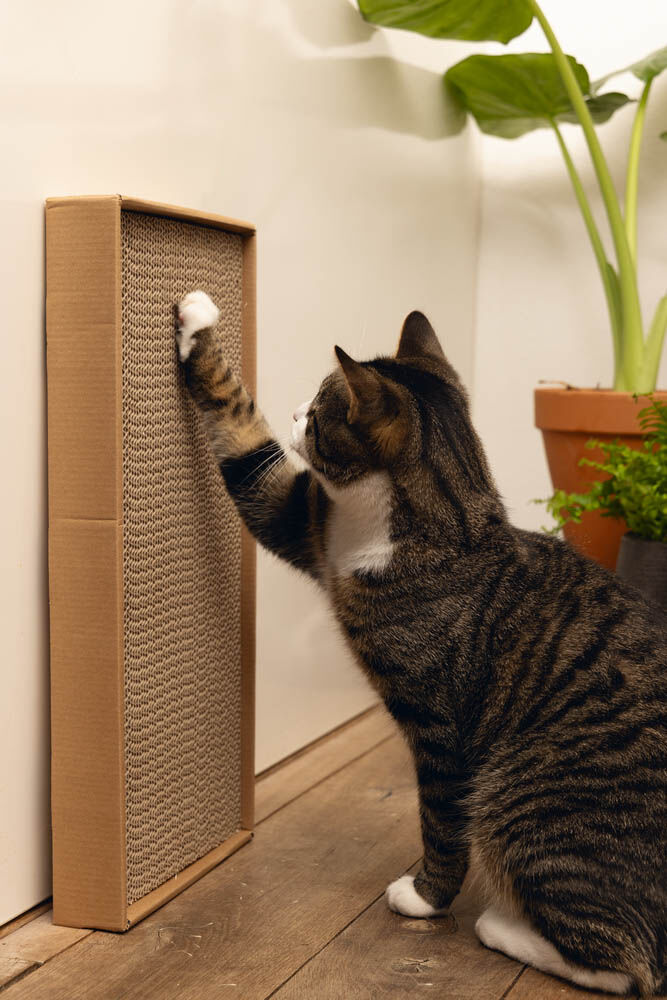 Beeztees Minus One Ilana - Krabplank - Bruin - 48.5x48.5x5 cm