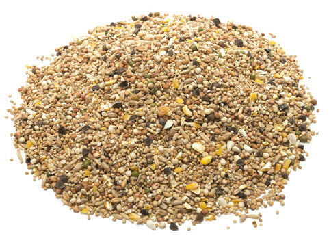 Welkoop Tortelduivenvoer - 20 Kilogram