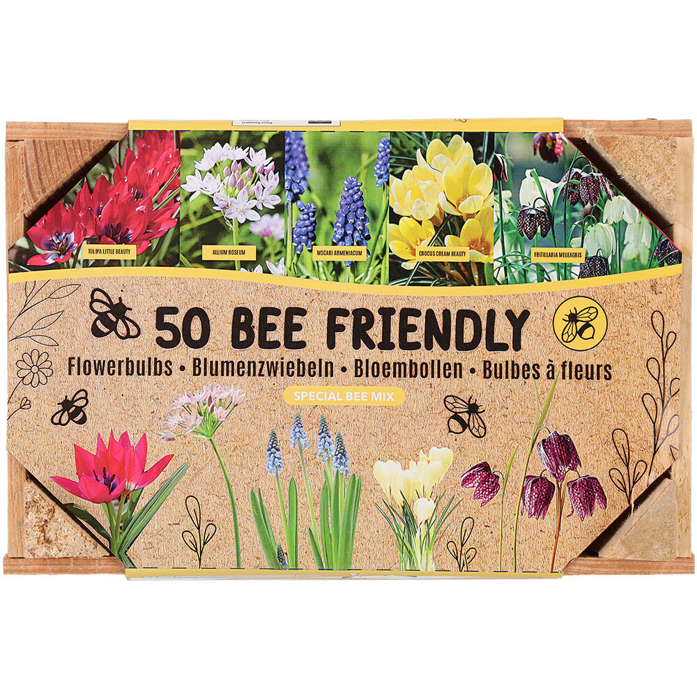 Florex Bloembollen mix - in Kistje