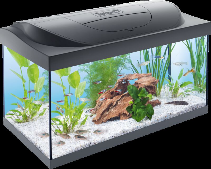 Tetra Starter line - Aquarium - 32x36x61 cm