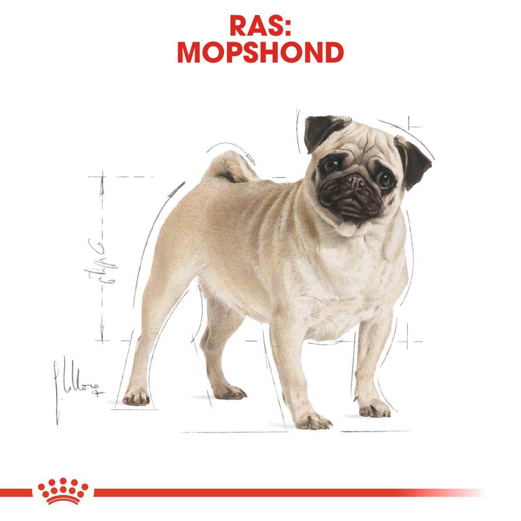 Royal Canin Mopshond Adult - Hondenvoer - 7.5 Kilogram - gevogelte