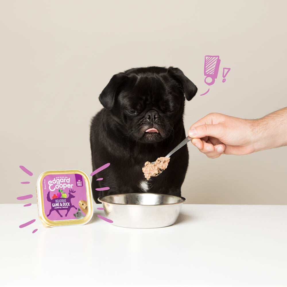 Edgard & Cooper Adult - Hondenvoer - 150 Gram - eend, wild