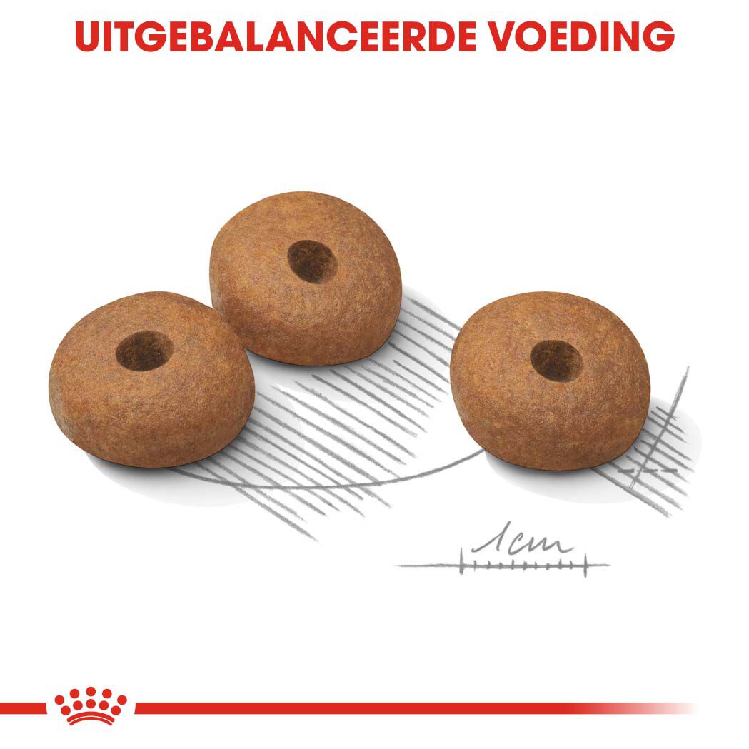 ROYAL CANIN Light Weight Mini - Hondenvoer - 3 Kilogram - gevogelte