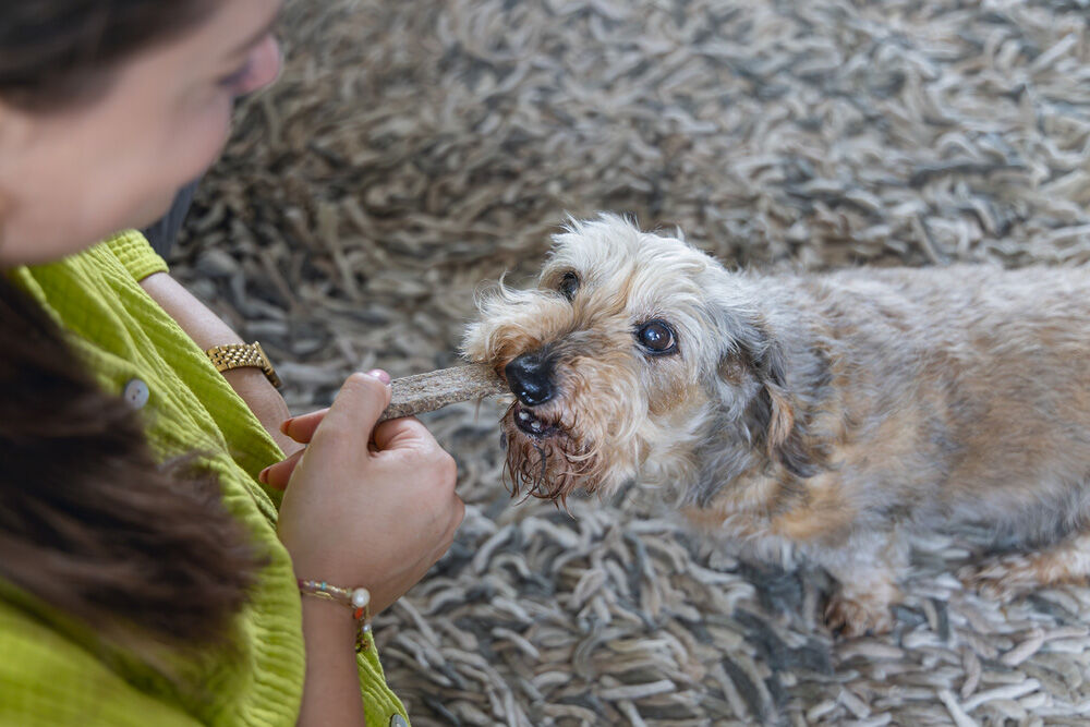 Beeztees Hertenreepjes - Hondensnack - 200 Gram