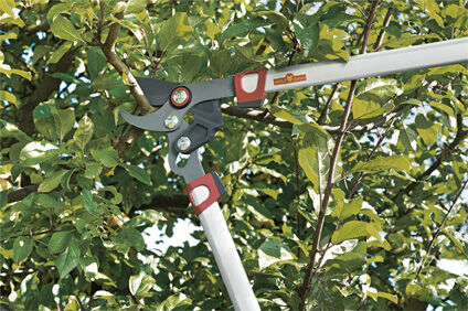WOLF-Garten RR 650 Basic Plus - Takkenschaar