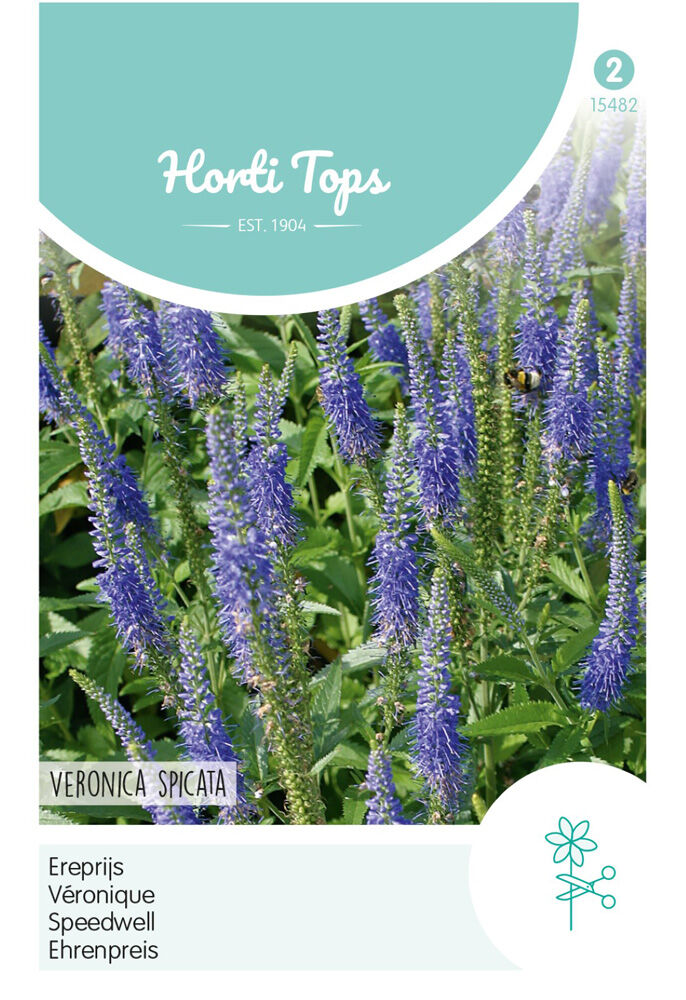 Hortitops Ereprijs Blauw - Bloemzaden Hortitops Ereprijs Blauw - Bloemzaden