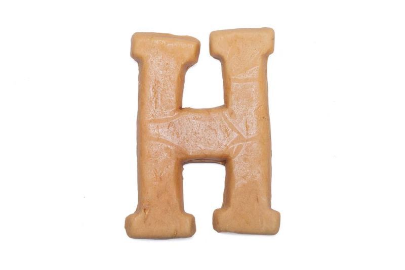 Beeztees Sint letter H - Hondensnack - kip