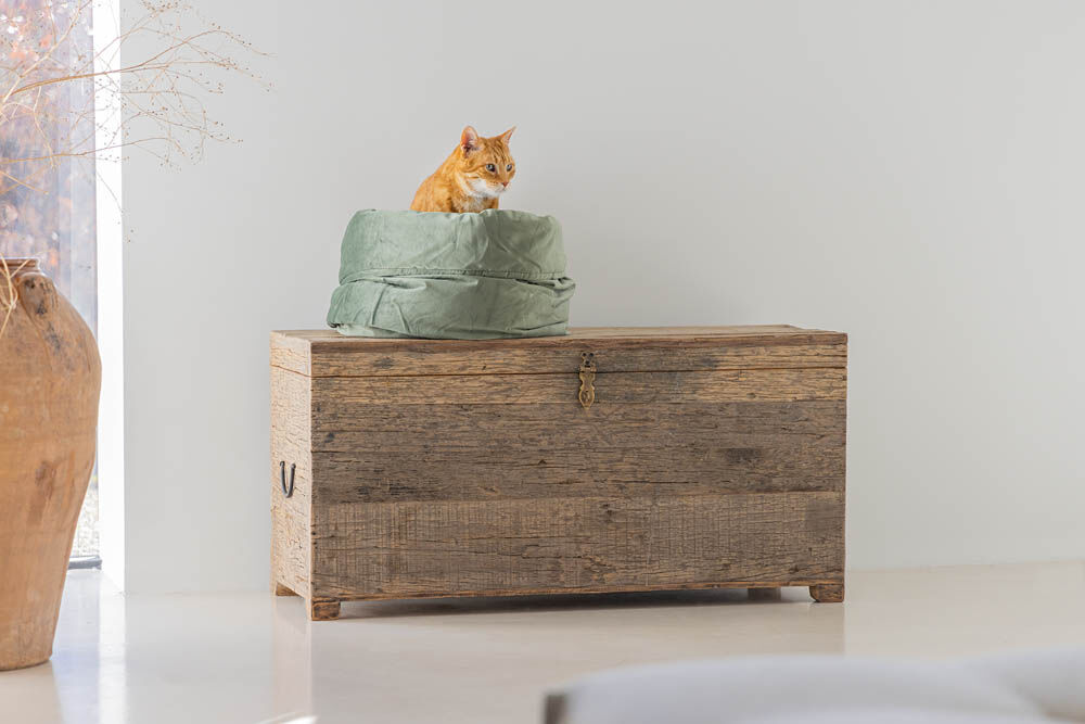 Designed by Lotte Fluco - Kattenmand - Groen - 28x45x45 cm