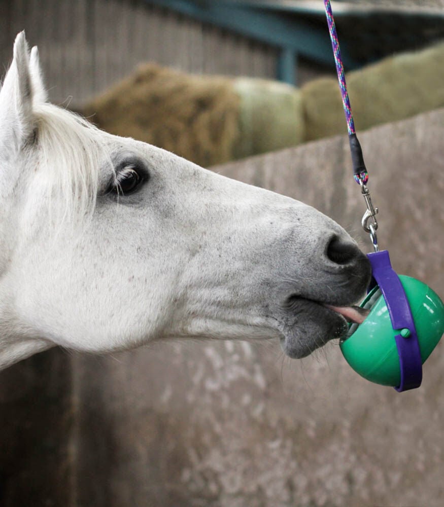 LIKIT Boredom Buster - Paardenspeelgoed - Paars