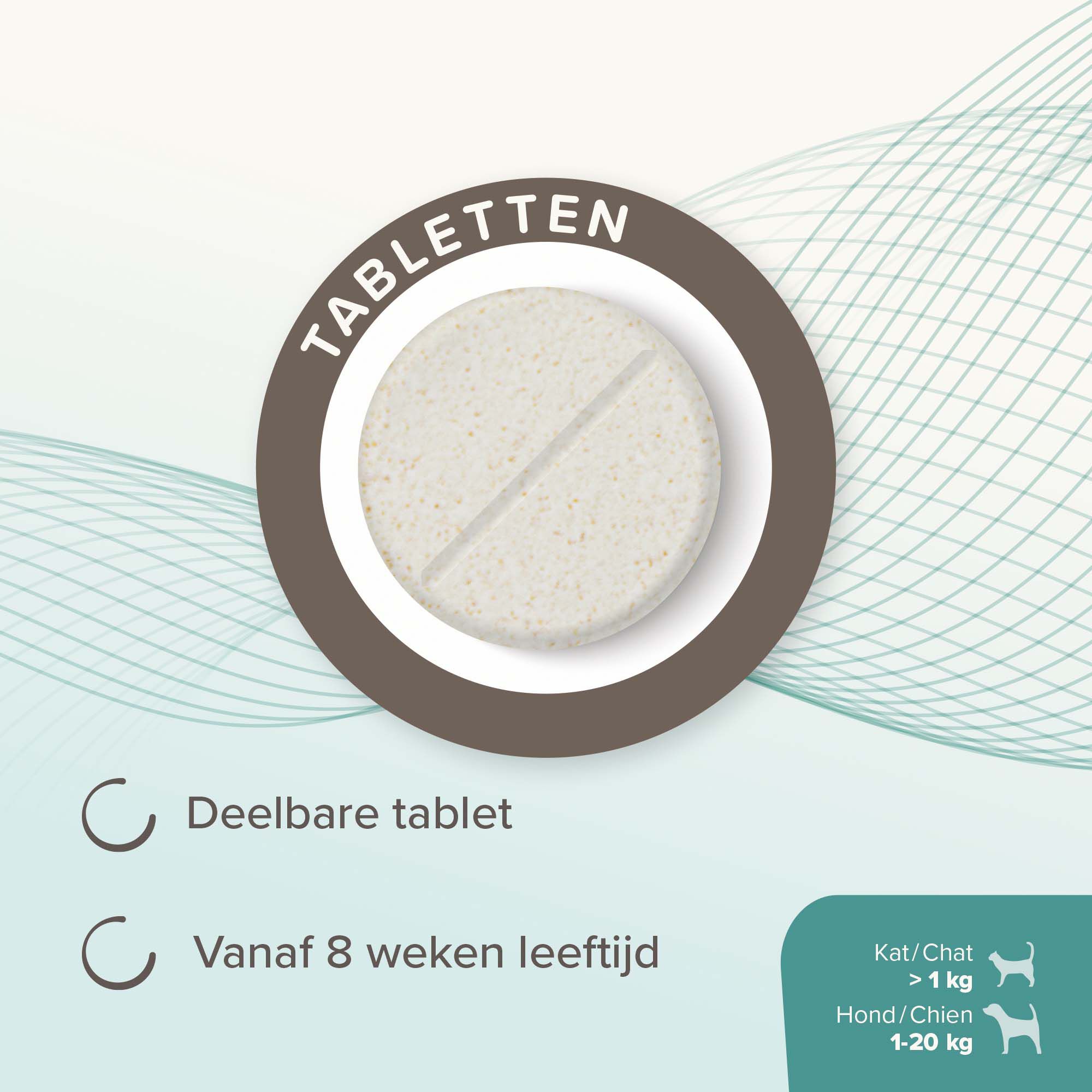 Beaphar IntestoPro Kat - Hond tot 20kg - Verlicht darmproblemen - 20 Stuks - S